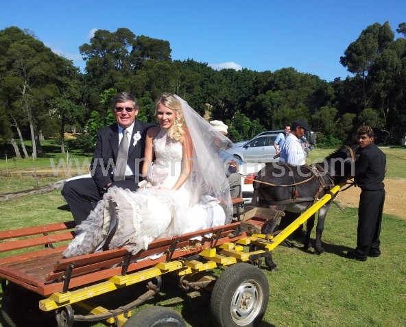 Bride and Father of the Bride, wedding, Hermanus