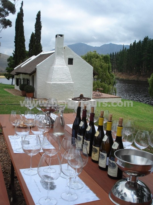 Wine tasting tours, wine tours, winery, Hermanus wine valley, near Cape Town, South Africa